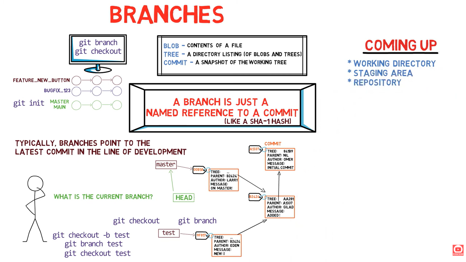Branches Summary